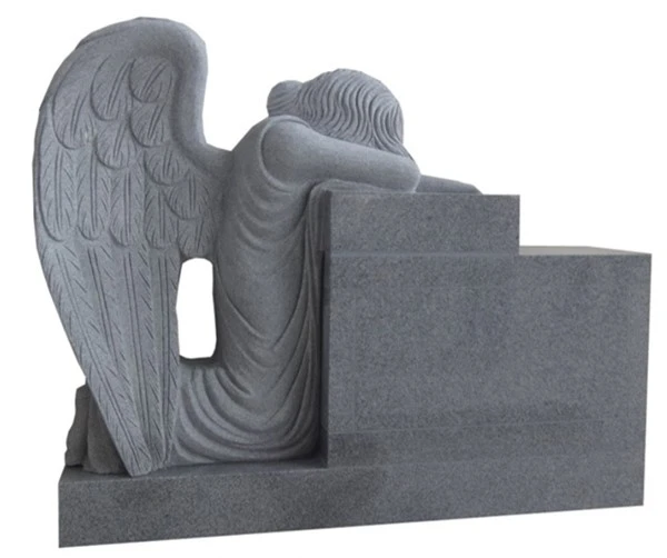 product-600-502 product-600-502